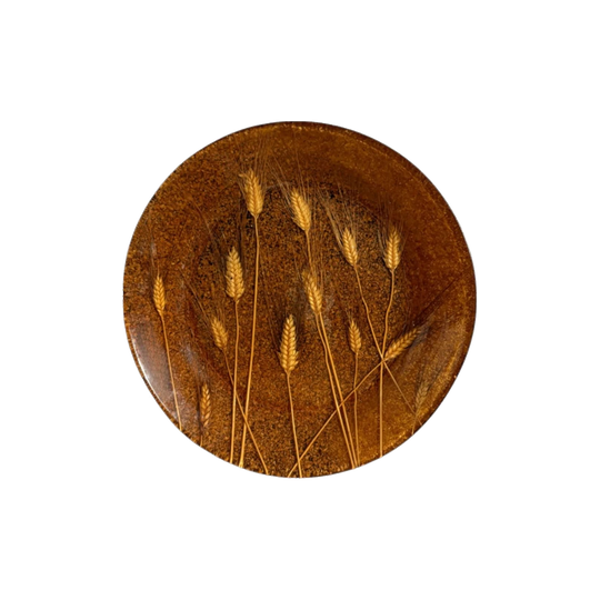 Italian 1970s Acrylic Centerpiece Bowl with Embedded Wheat Straw