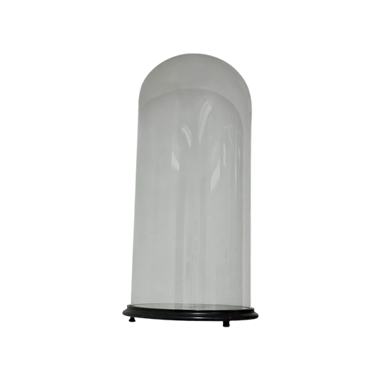 Victorian Round Glass Cloche Display Dome on Ebonised Wood Base, c.1870 – 69 cm H