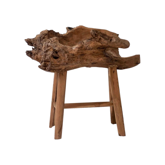 Teak Root Decor Piece
