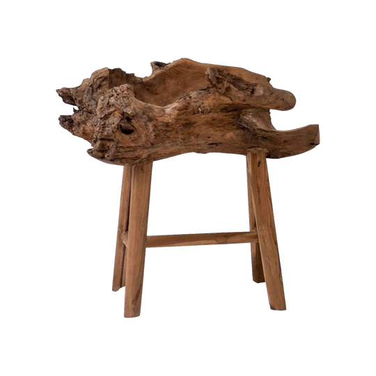 Teak Root Decor Piece