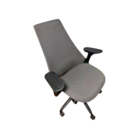 Herman Miller Sayl - Fully loaded