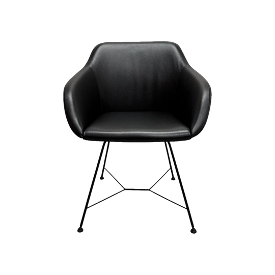 Walter Knoll Turtle Chair - Black Leather with Wire Base