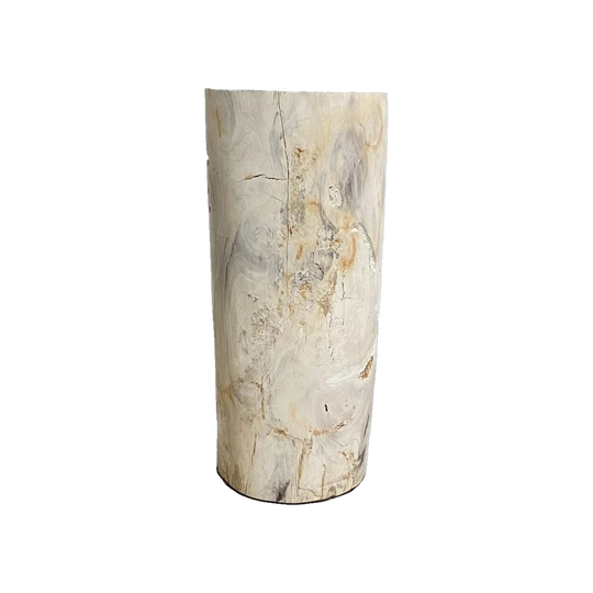 Large Petrified Wood Fossilised Stone Plinth / Side Table, Polished, 60 cm H x 26 cm Diameter