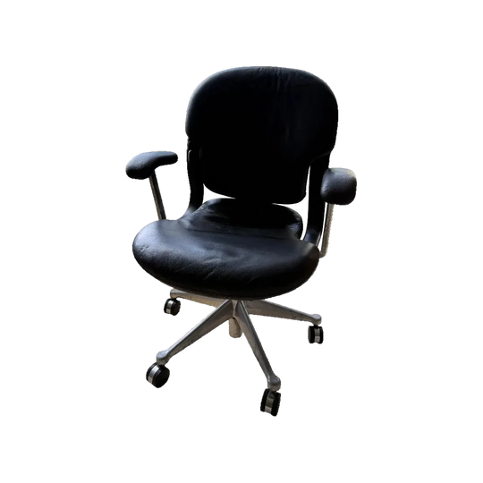 Herman Miller Leather Aqua Chair