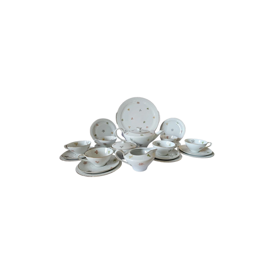 Johann Haviland Rosenthal 19-Piece Porcelain Tea Set – Autumn Leaves, Designed by Raymond Loewy
