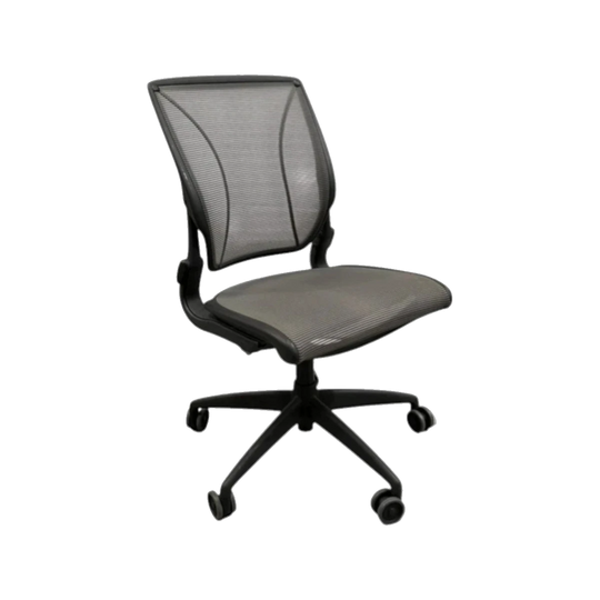 Humanscale Diffrient World Office Chair