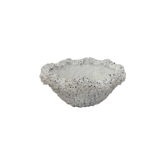 Barnacle Bowl