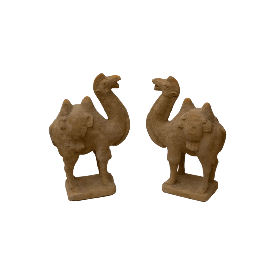 Vintage Concrete Camel, Abu Dhabi Provenance