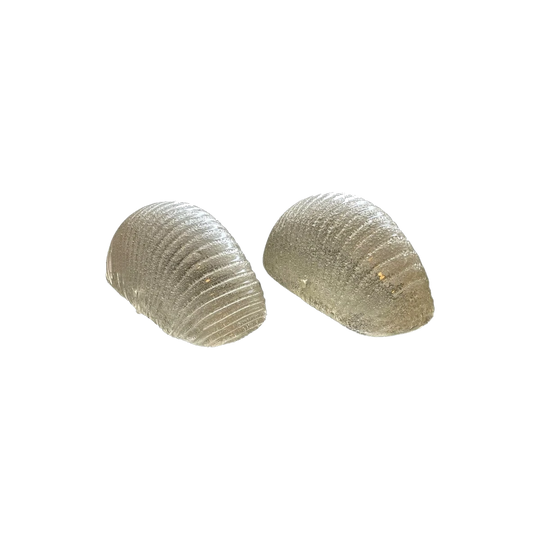 Vintage Murano glass wall shell sconce