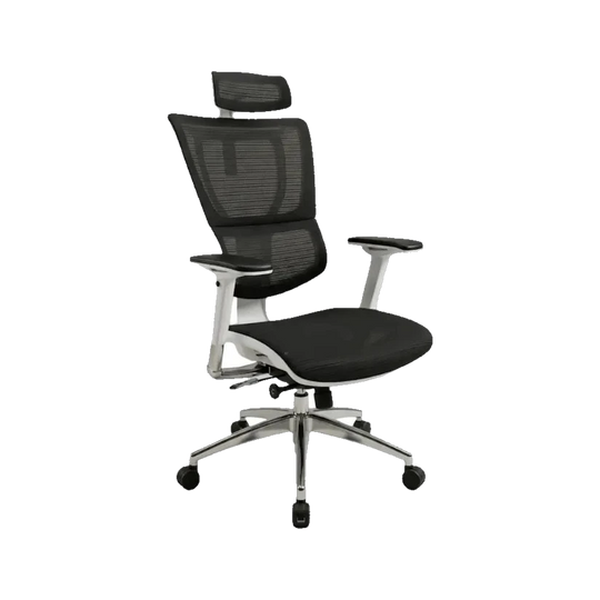 Second Hand Euro Ergo Chair 