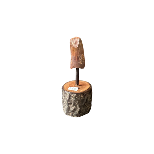 Fossil Dino Tooth on stand - Spinosaurus,  Morocco, 99 million yrs