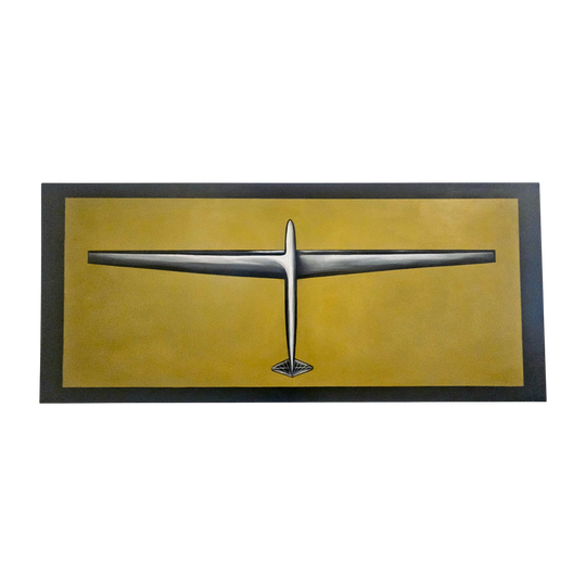 The Art of Flight (Original Canvas)