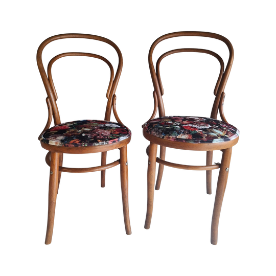 Set of Antique Bentwood Chairs in Warwick 'Flowerbomb' Luxe Velvet