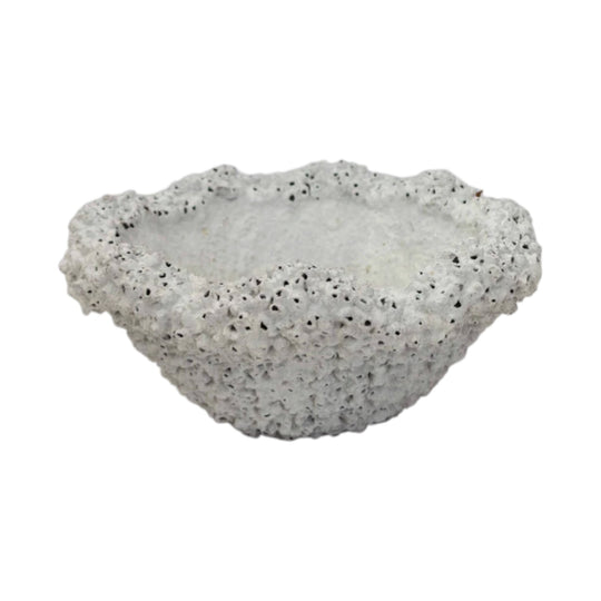 Barnacle Bowl