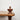 Antique Edwardian Walnut What-Not