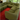 7 - Piece Featherston Numero Vintage Modular Sofa Set - Custom Reupholstered | Bazaa | Designer, Vintage and Antique Furniture
