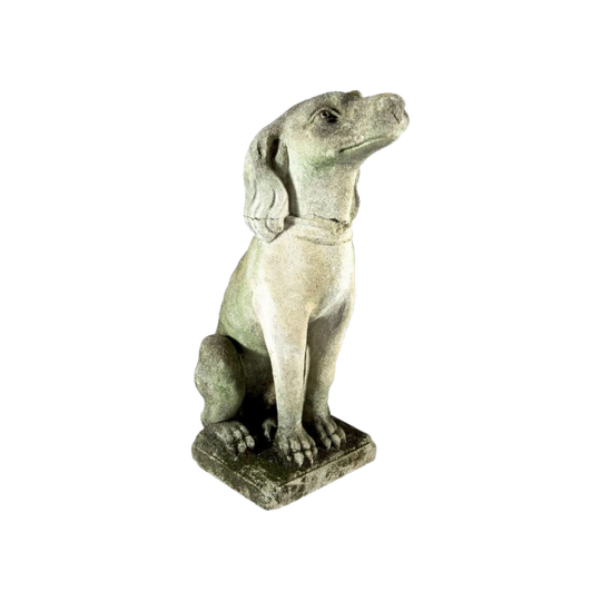 Antique French Carved Stone Seated Dog Garden Statue, Possibly Early 20th Century
