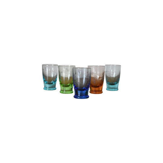 Vintage Czech colored shot glasses. Vintage Bohemian Etch shot glasses. Set of 5