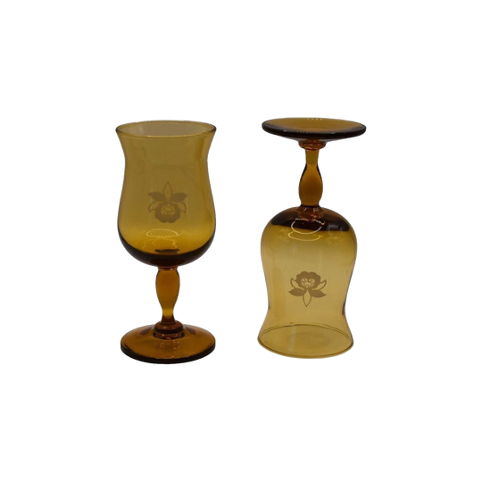 Amber wine goblets with embosed orchid design. Set of 2