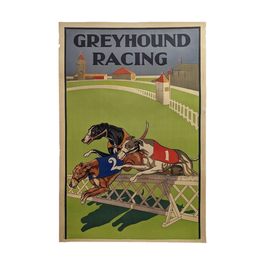 Greyhound Racing – Proceeds Support Greyhound Rehoming and Rescue