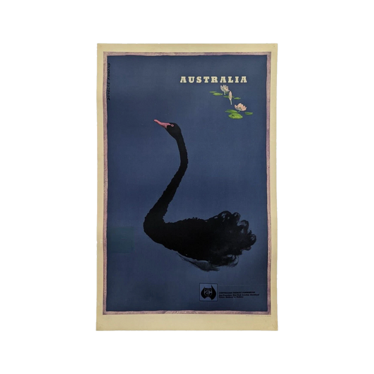 Australia Black Swan ANTA, Partially Restored