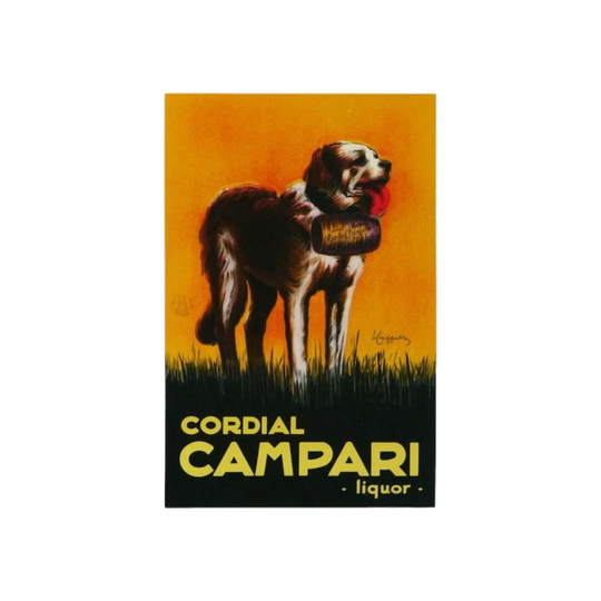 Campari Liquor Le Saint Bernard