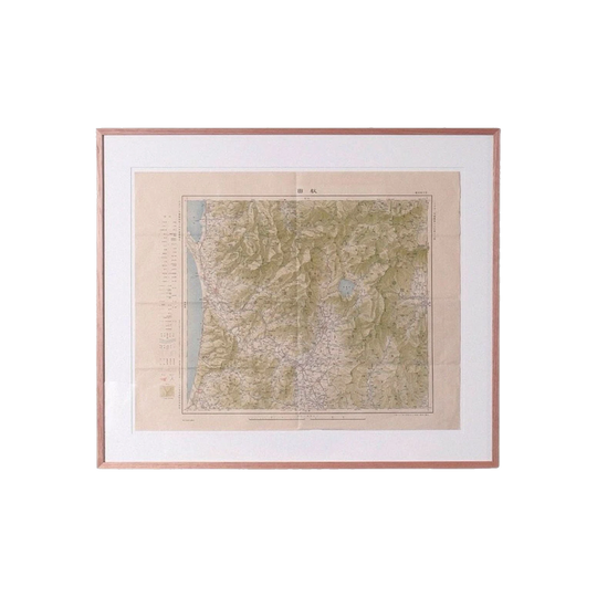Antique Framed Map VI