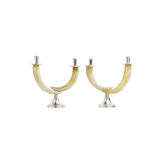 Pair of Continental Warthog Tusk Candlesticks, .800 Silver Mounted with Gadrooned Drip Pans