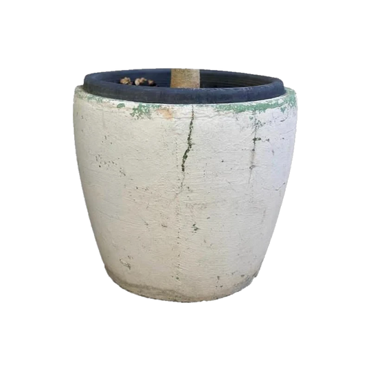 Mid Century palm springs white cement pot