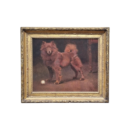 William Frank Calderon (1865–1943) Antique British Dog Oil Painting, Possibly German Spitz – Signed, Oil on Re‑Lined Canvas, Original Gilt Frame