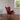 DSC02602.jpeg