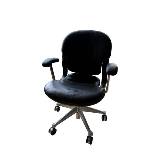 Herman Miller Leather Aqua Chair