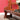 Antique Australian Mahogany Church Pew Hall or Verandah Bench Seat | Bazaa | Designer, Vintage and Antique Furniture