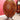 Antique Burr Walnut Centre Table Birdcage Base Marquetry Top. B12979 | Bazaa | Designer, Vintage and Antique Furniture