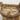 Antique Chinese Bucket | Bazaa | Designer, Vintage and Antique Furniture