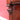 Antique English Mahogany Two Door Bookcase Cabinet with Original Glass. B13069 | Bazaa | Designer, Vintage and Antique Furniture