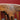 Antique English Oak Balloon Back Crest Dining or Kitchen Chairs Set of 10 Circa 1890. B13058 | Bazaa | Designer, Vintage and Antique Furniture
