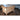 Antique English Trunk | Bazaa | Designer, Vintage and Antique Furniture