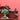 Antique English Twin Pedestal Sideboard, Flame Mahogany Carved Detail. B12959 | Bazaa | Designer, Vintage and Antique Furniture