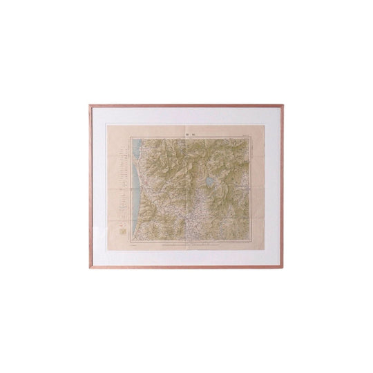 Antique Framed Map VI