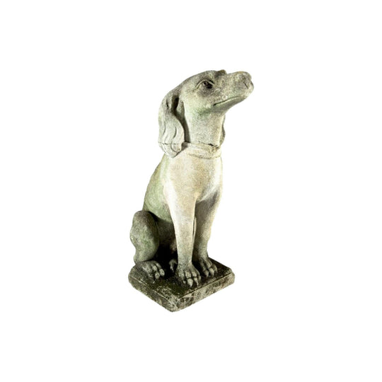Antique French carved stone seated dog garden statue
