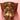 Antique Gilt Plaster Wall Shelf with Angel Holding Ribbon – Ready to Hang. B12401 | Bazaa | Designer, Vintage and Antique Furniture