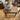 Antique Rectangle Teak Occasional Table | Bazaa | Designer, Vintage and Antique Furniture