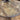 Antique Teak Round Table From Java | Bazaa | Designer, Vintage and Antique Furniture
