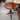 Antique Victorian Mahogany Occasional/Wine Table | Bazaa | Designer, Vintage and Antique Furniture