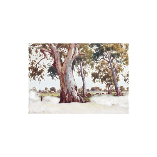 Arnold Jarvis (1881-1951) watercolour "Old Gums, Freshwater Creek" circa 1920