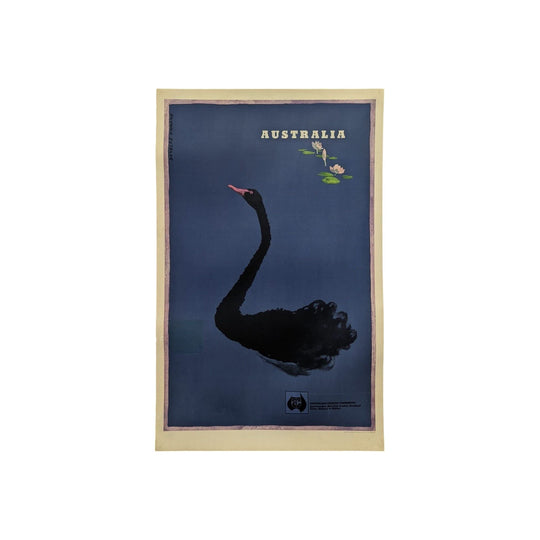 Australia Black Swan ANTA
