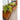 Avalon Free Standing Wall System – 2½ Bay | Bazaa | Designer, Vintage and Antique Furniture