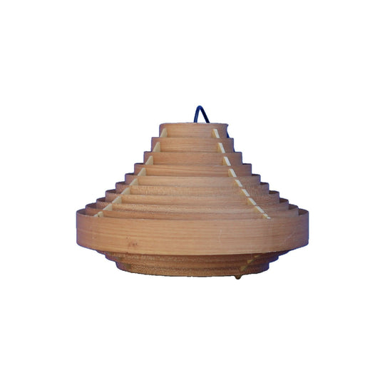 Bent Ply Pendant