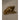 Brass duck | Bazaa | Designer, Vintage and Antique Furniture